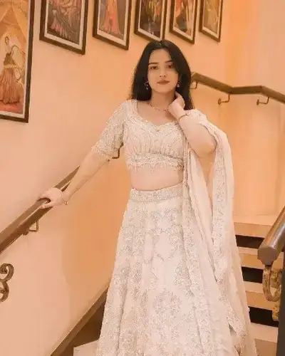 Escort Service In Alipur